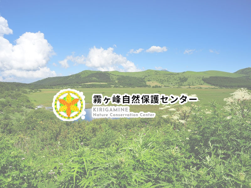 旧ブログから移転しましたの画像