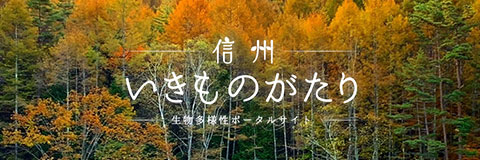 生物多様性ポータルサイト「信州いきものがたり」