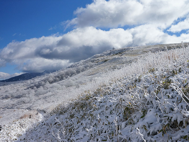 青空の元、雪が被って辺り一面真っ白