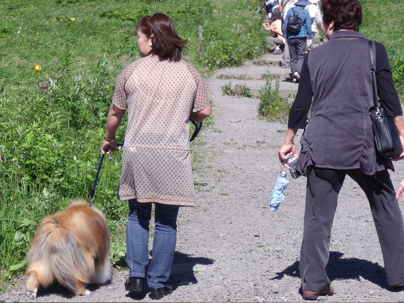 犬が繋がれた引き綱を短く持って歩く女性