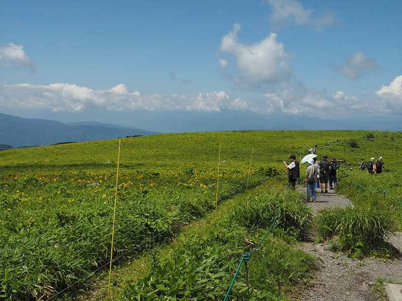 草原と遊歩道の間にある電気柵