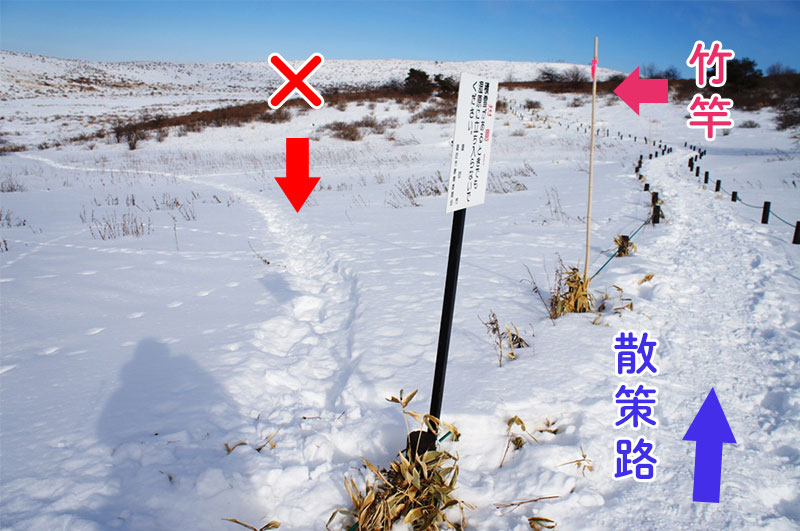 散策路より内側に踏み跡がついてしまった様子