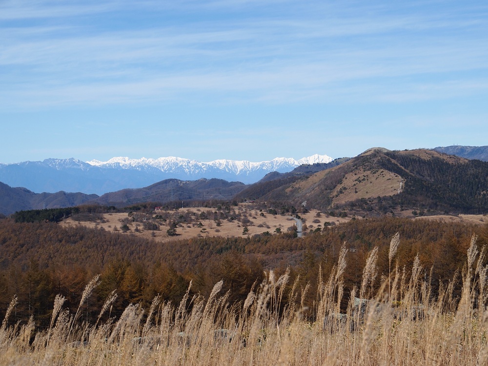 鷲ヶ峰の背景に見える雪をかぶっている北アルプスの山並み
