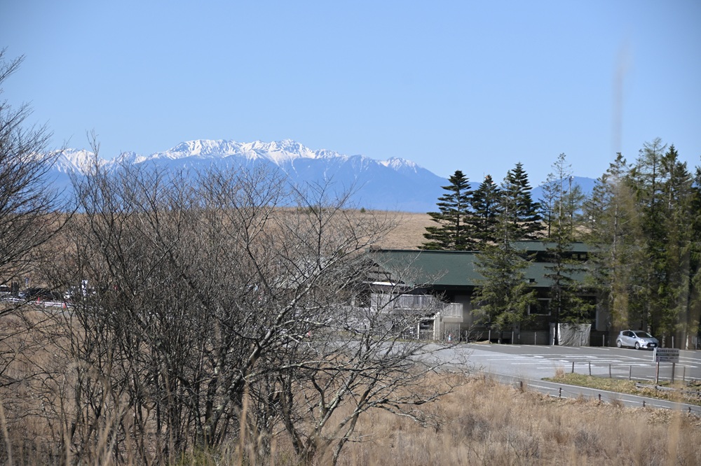 緑の屋根の建物の奥に山頂に雪がある山々がある