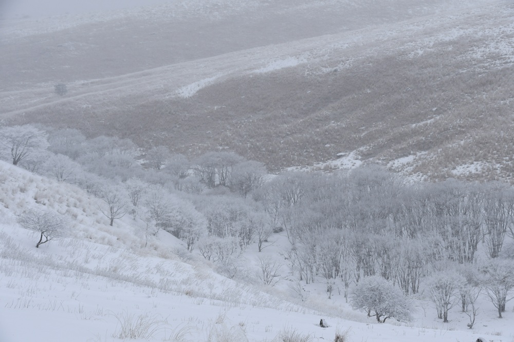 雪が降り始めましたの画像