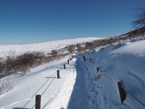 雪に覆われた登山道