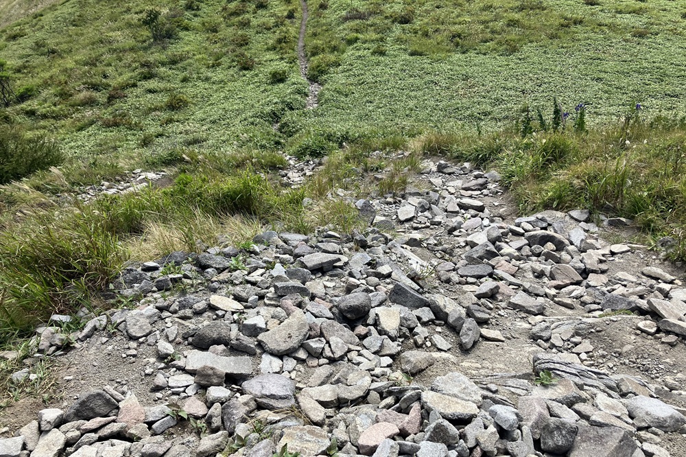 大小様々な石が転がっている山道の様子