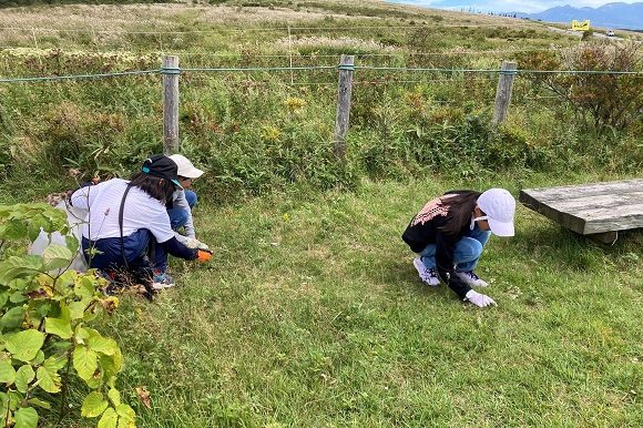 草地にかがむ子供たち