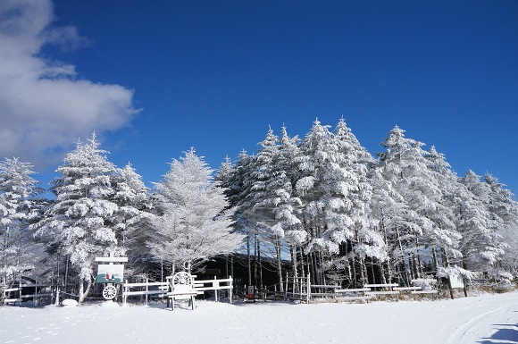 雪で白くなる木々と山小屋