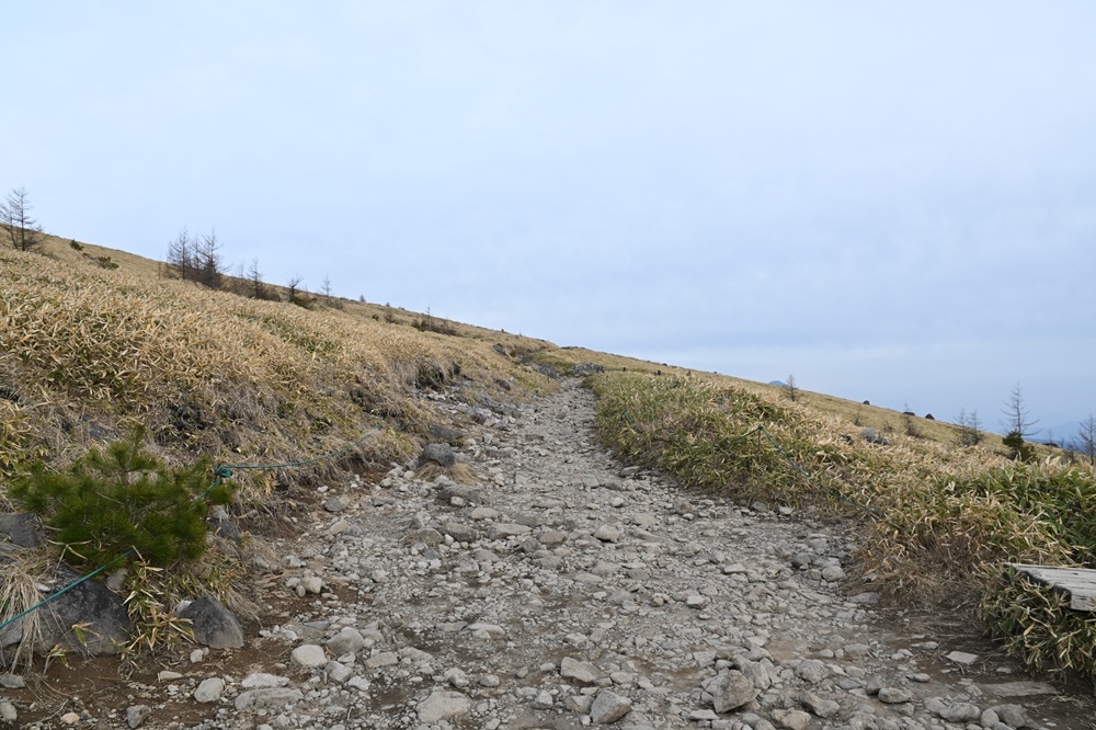 石が点在した登山道