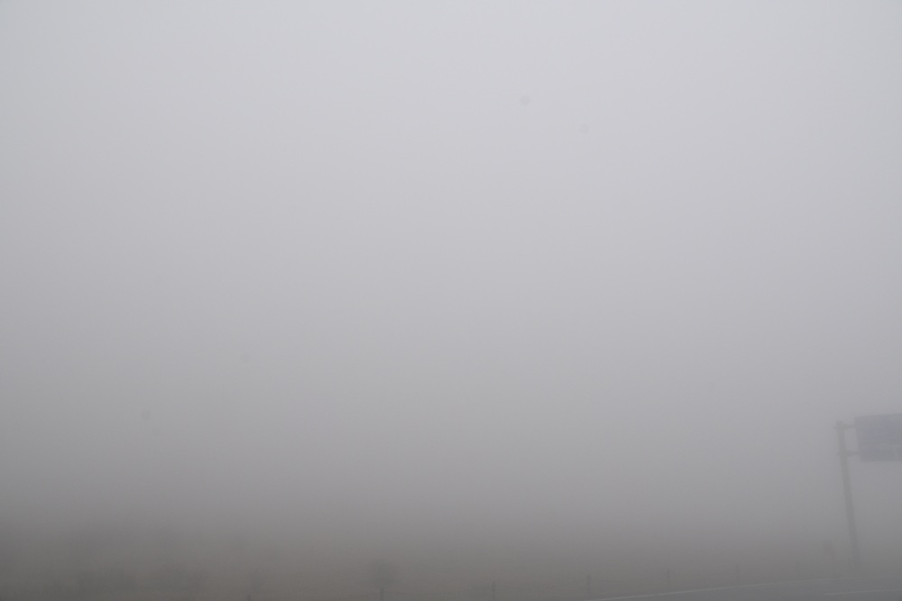 霧で白い景色