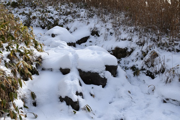 雪に覆われて登山道の岩が少ししか見えない