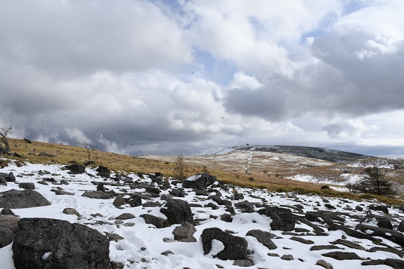 岩が見えている広い山頂