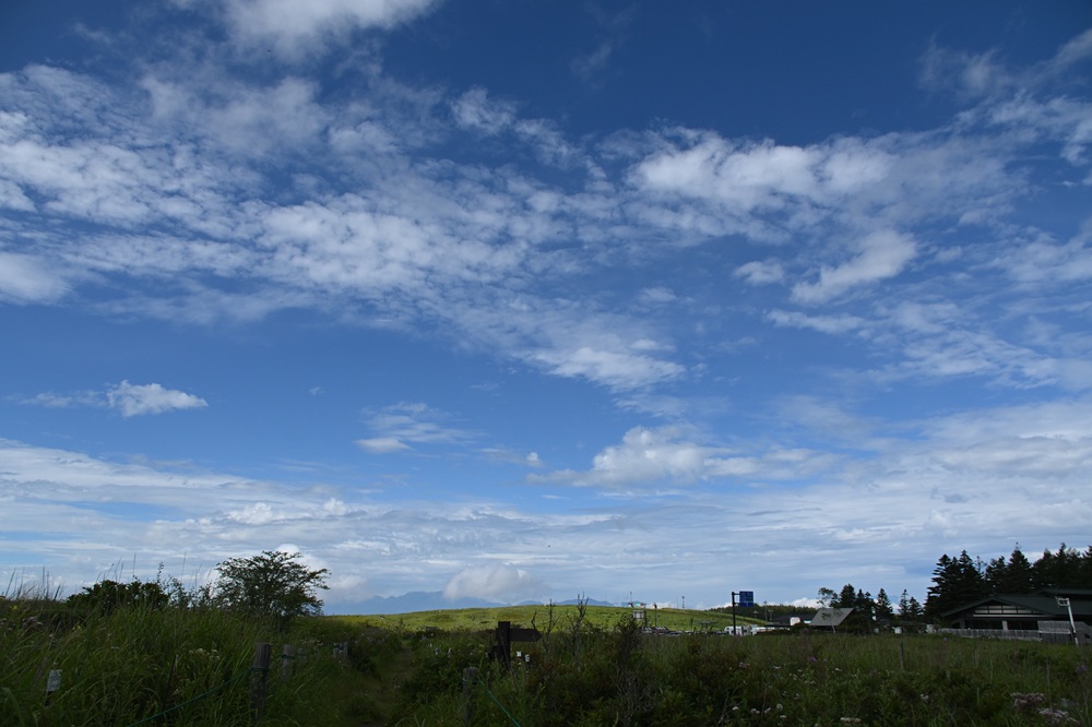 青空と白い雲