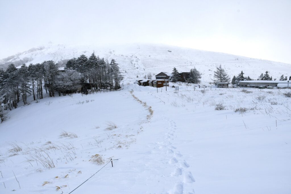 自分が歩いた足跡だけがある雪原