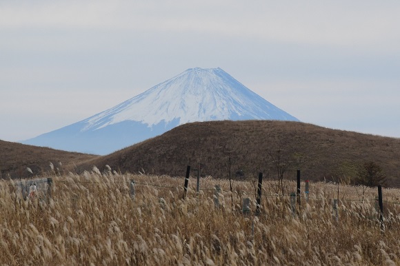 富士山