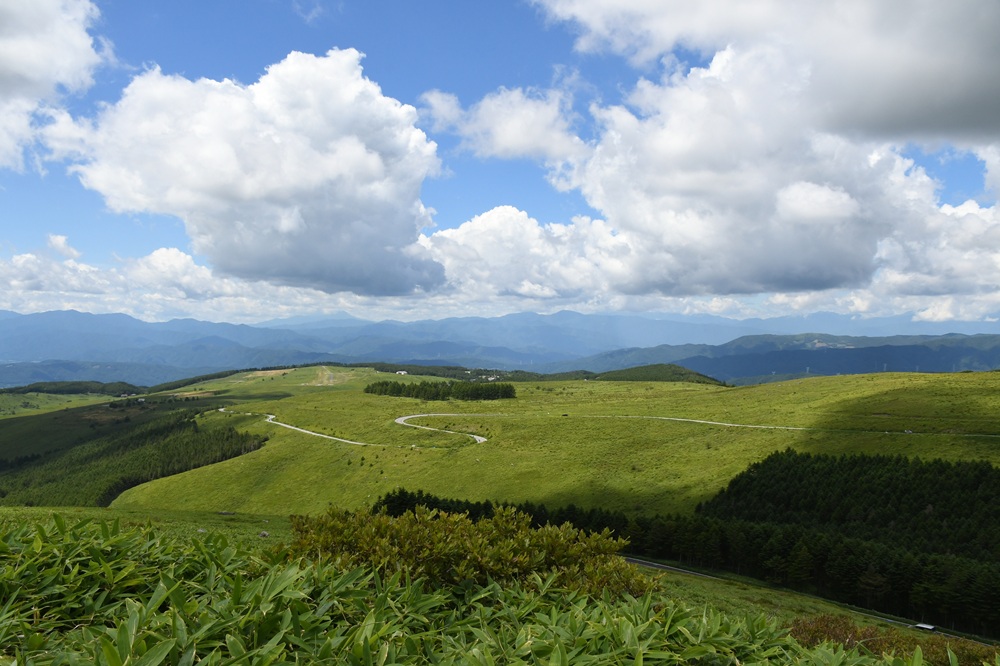 広い草原と青空と雲