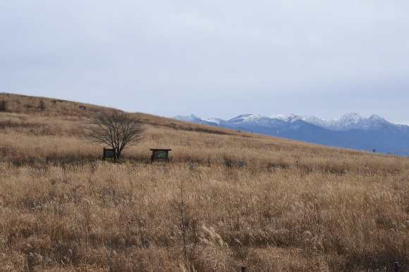 茶色い草原と雪をかぶった山