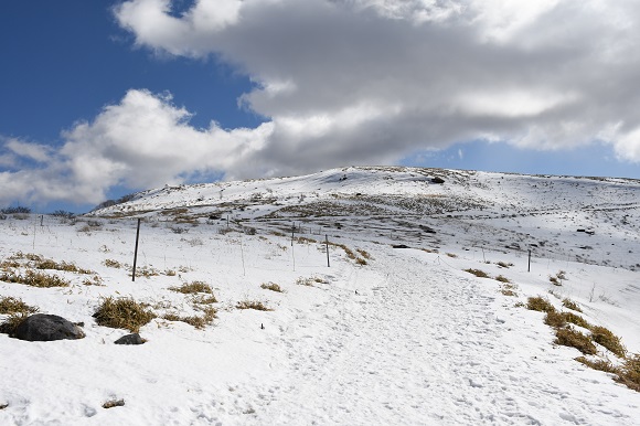 草木が雪の上に少し見えている山肌