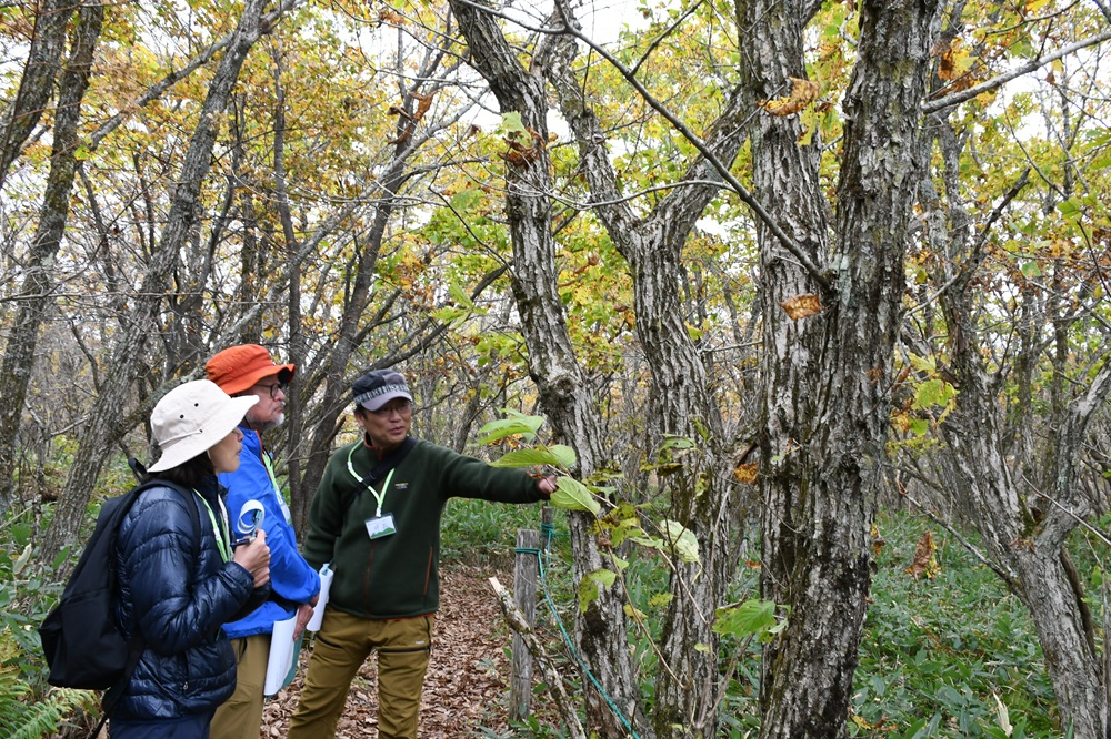 霧ヶ峰インタープリター養成講座を行いましたの画像