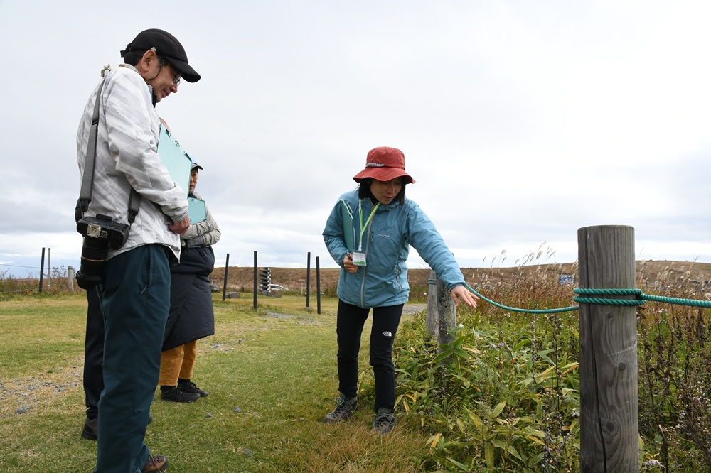 植物を指さして説明する様子