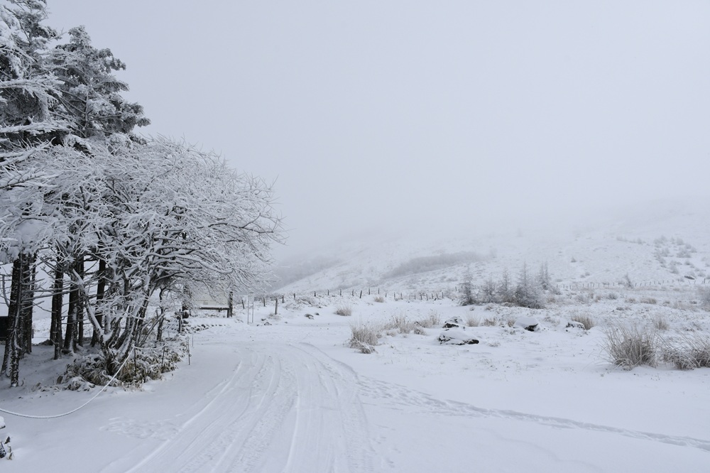 地面には雪があり霧で山の上は見えない