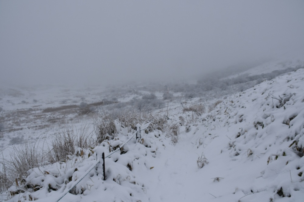 地面は雪、遠くは霧で見えない。