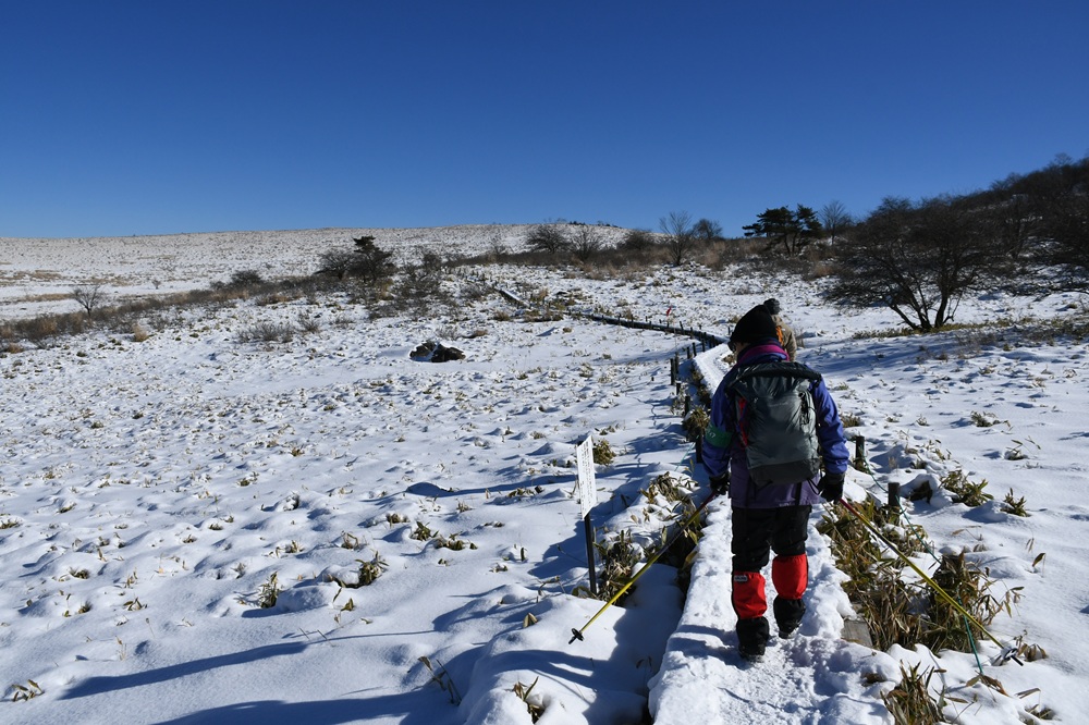 雪の道を歩く人