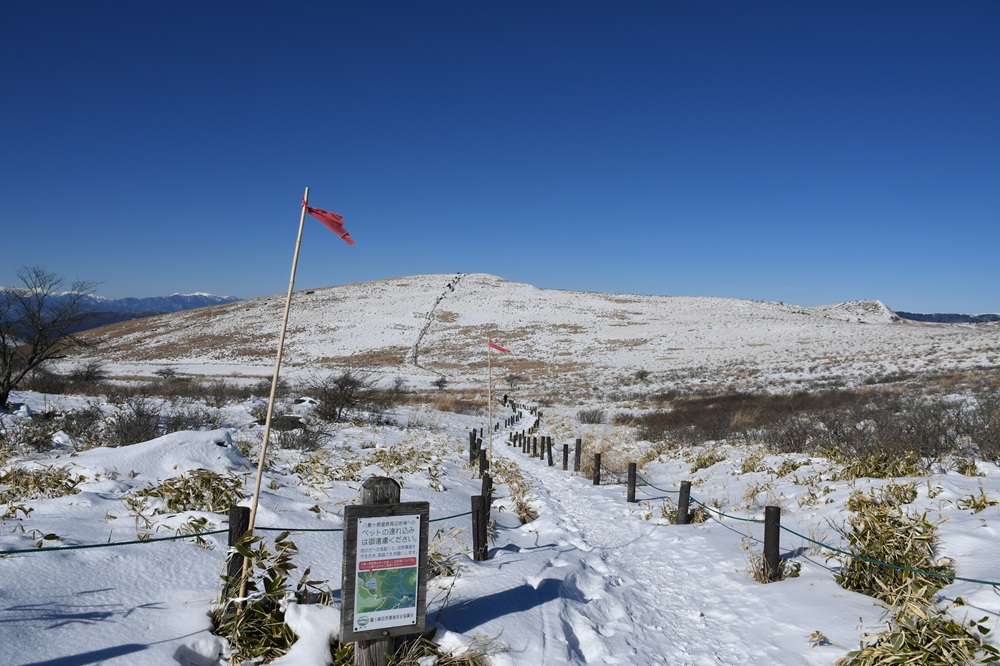 今年初の冬期巡回（2025年１月10日車山湿原周辺積雪状況）の画像