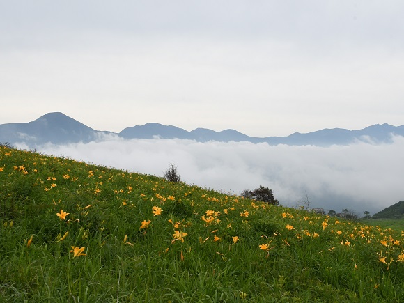 草原と雲海