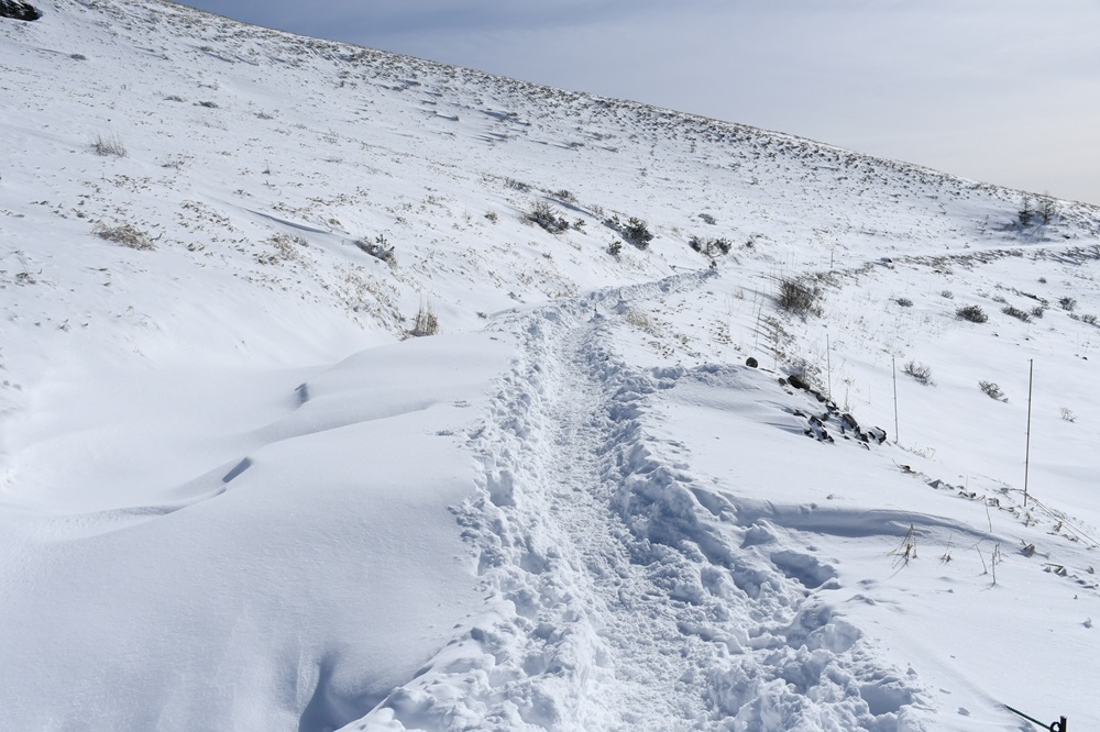 登山道の様子。雪で地面や杭は見えない。
