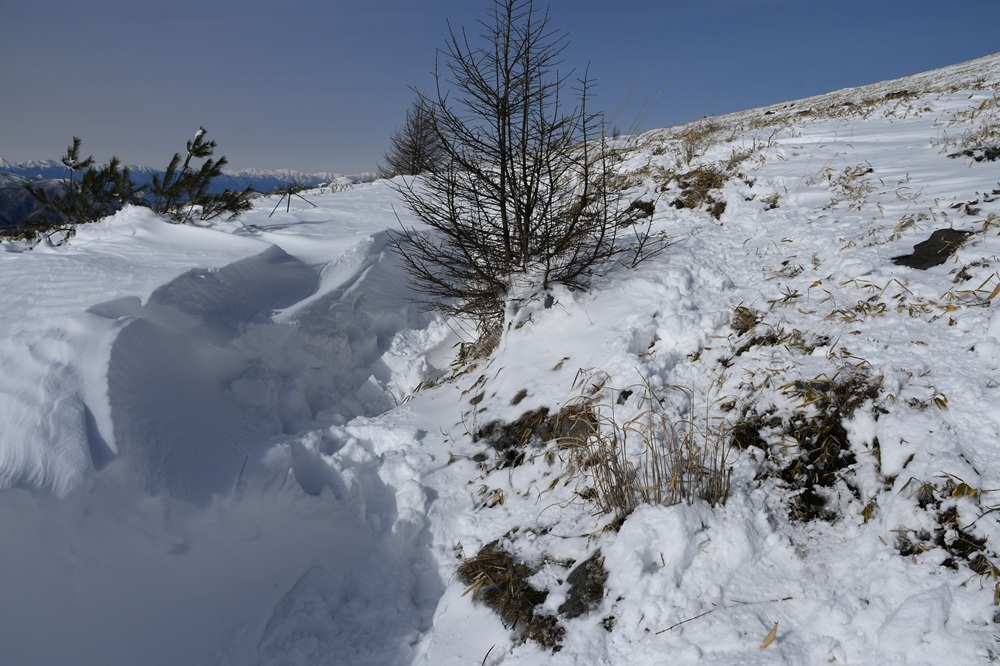 土が見えている山側に道ができている様子