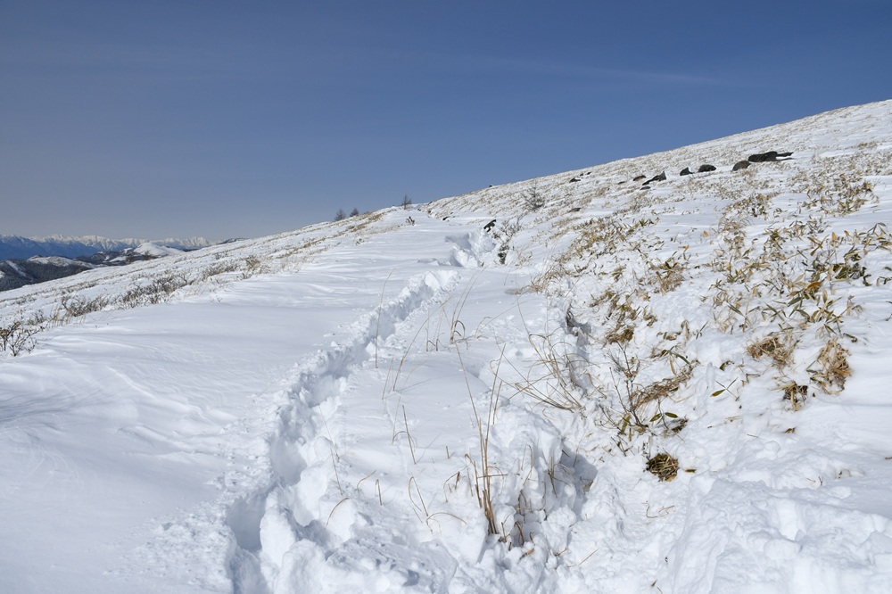雪のある方に道をつけた様子