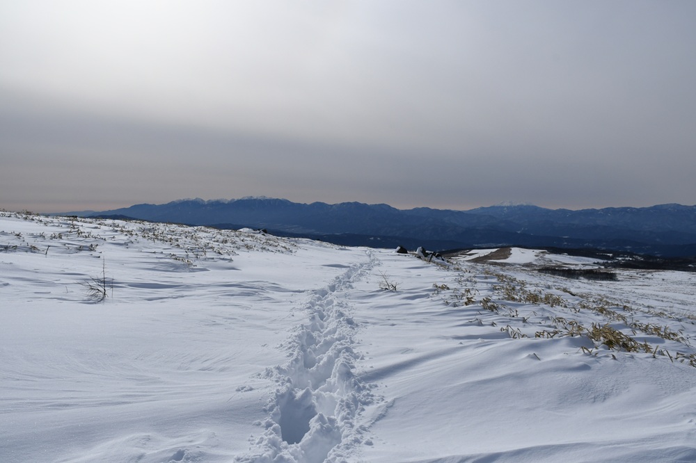 腰までラッセル！？の画像
