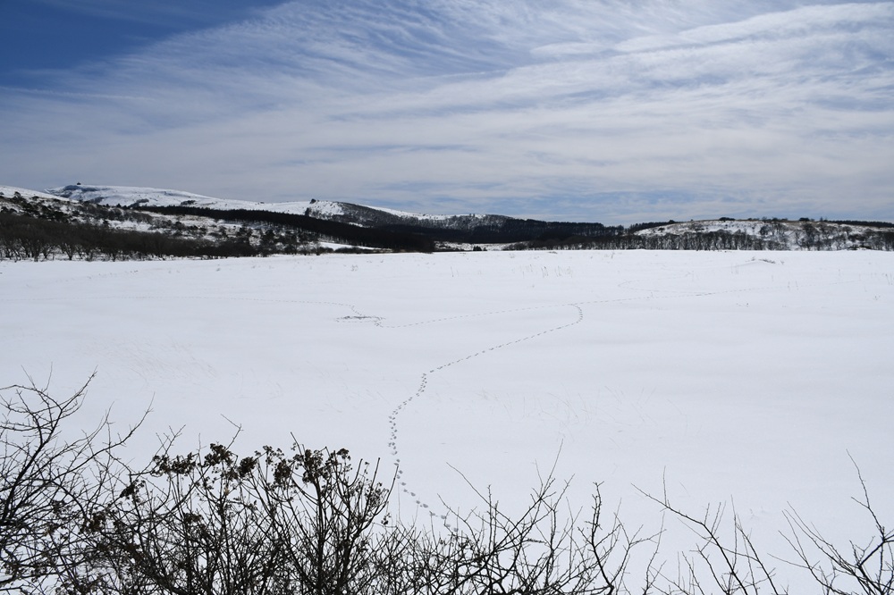 雪原の中に蛇行した足跡
