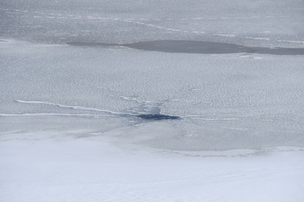氷の一部に穴が開いている