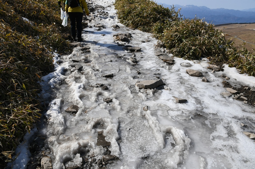 凍っている地面