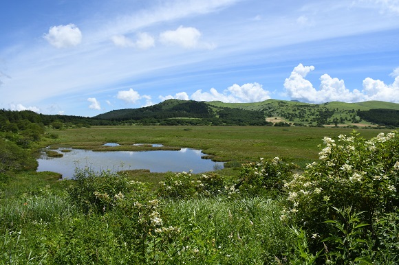 湿原の池