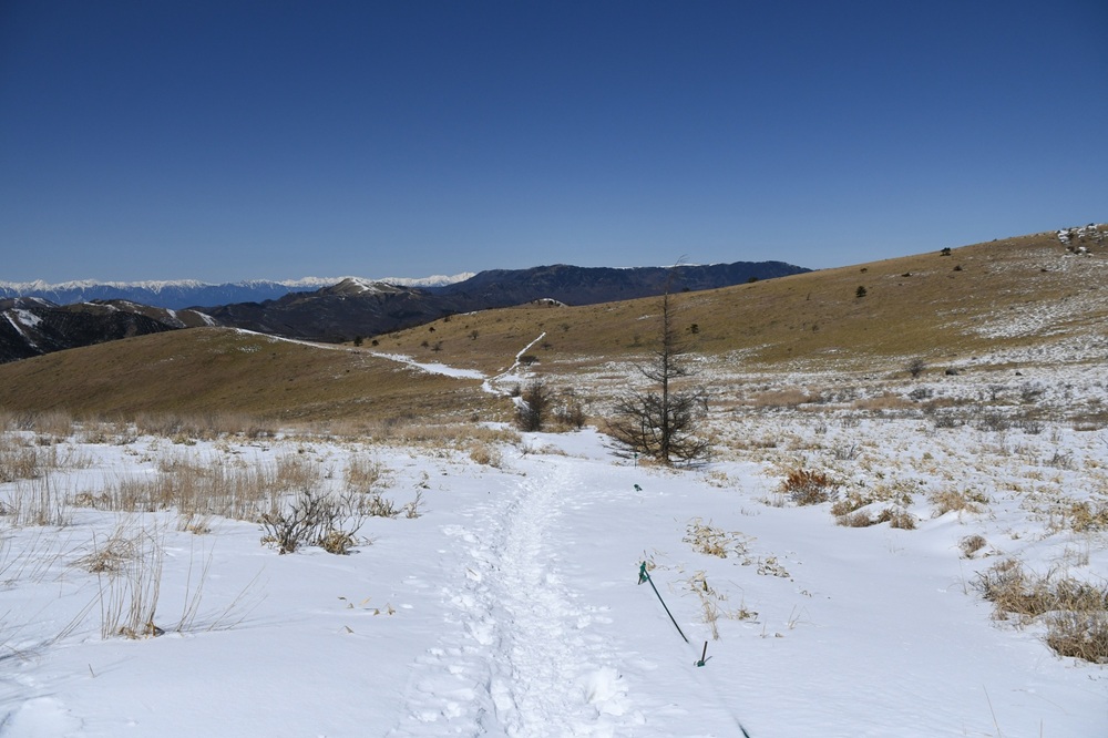 雪に覆われた部分と草地が見える