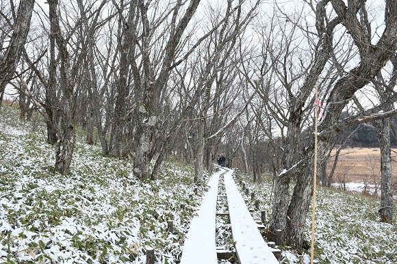 八島・車山湿原の雪の様子の画像