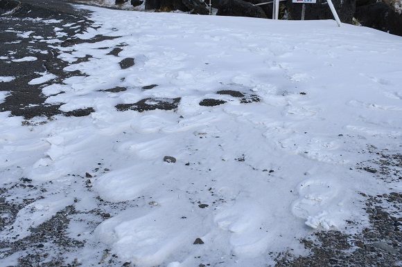 地面が波打った形になっている