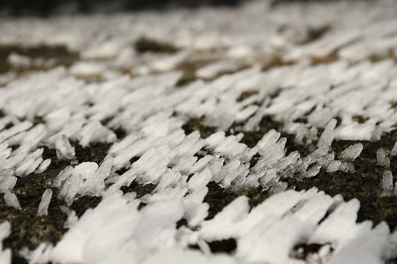 地面から上に伸びるように発達した雪の固まりたち