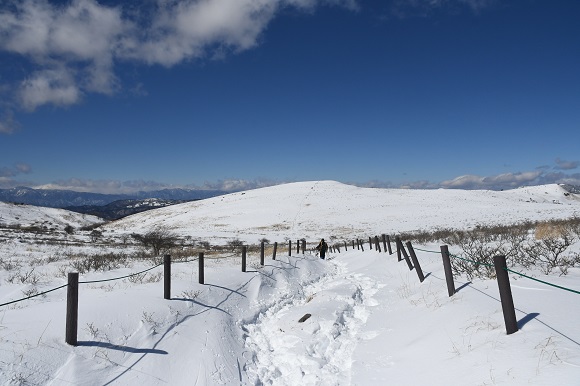 地面と山肌が真っ白