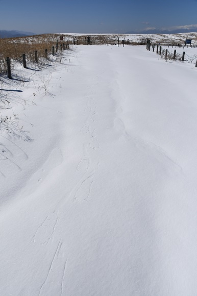 登山道に一面の雪