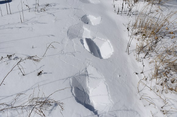 穴が空いた雪の表面