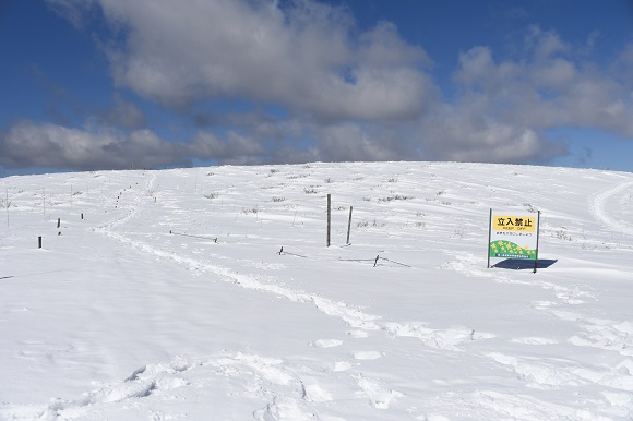 雪に埋まって杭がほとんど見えない様子