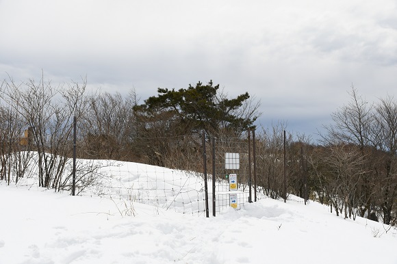 シカ侵入防止の柵が半分雪に埋まっている様子