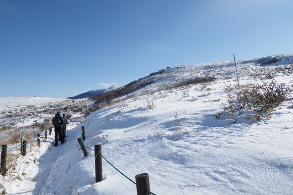 遊歩道を歩く職員とボランティア