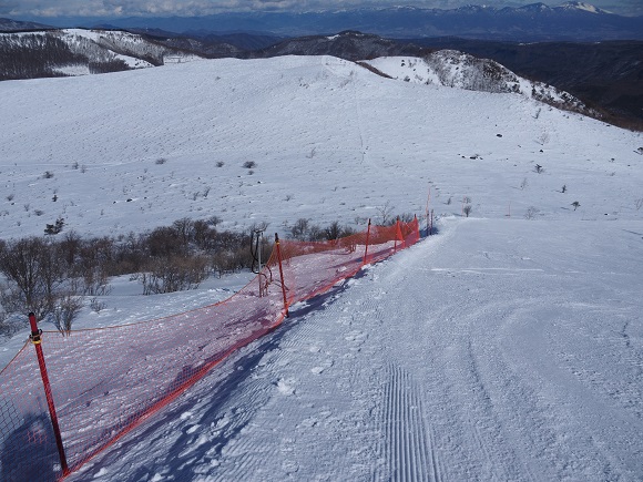 スキー場のコース