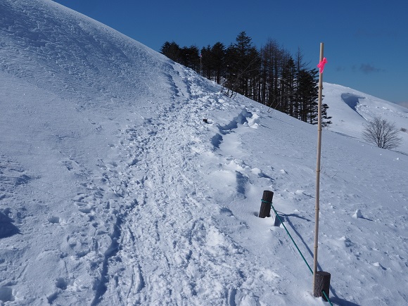 雪原